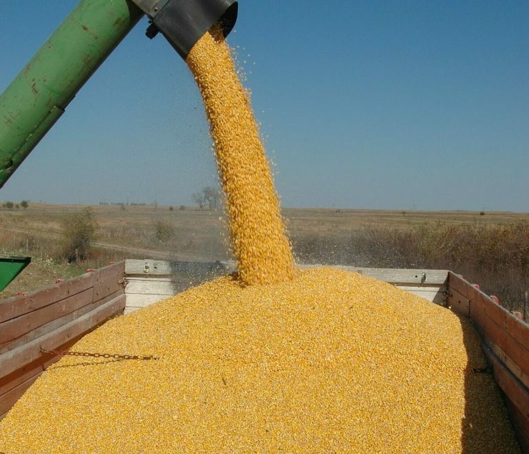 EIA Biofuel Capacity, Feedstock Consumption Up in October