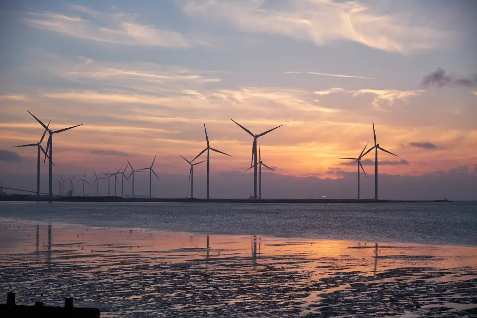 Wind Energy Pros and Cons: An Ultimate Explanation