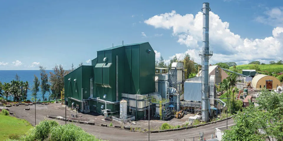 The Advantages and Disadvantages of Biomass Power Plants: Detailed Explanation